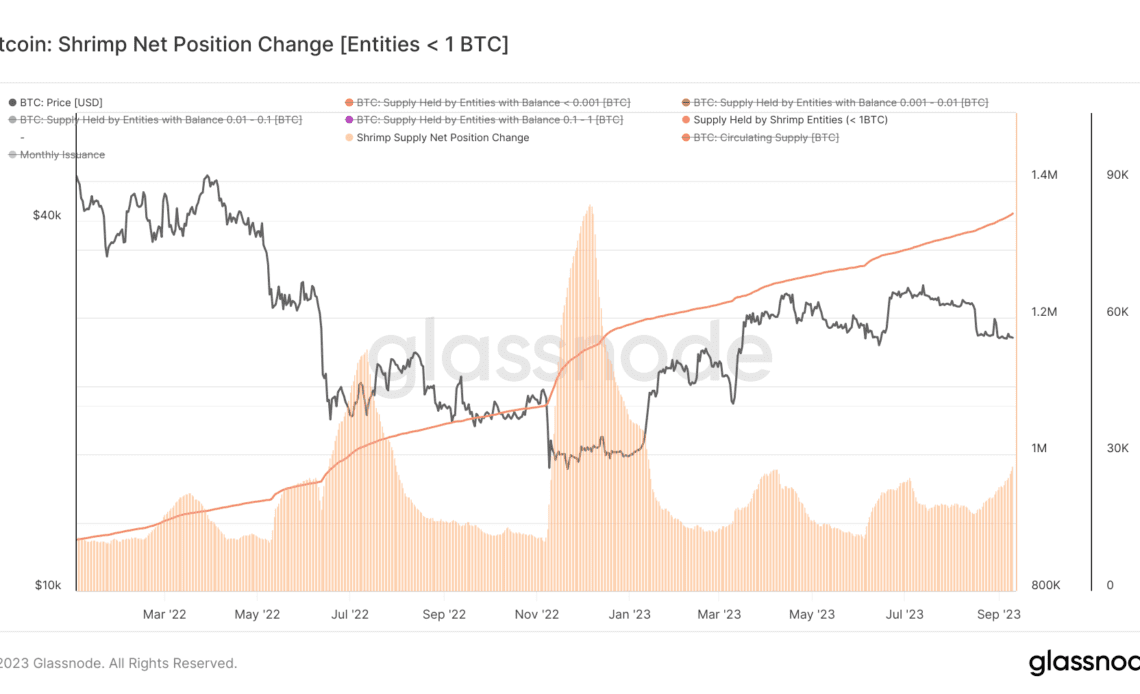 bitcoin shrimp accumulation balance