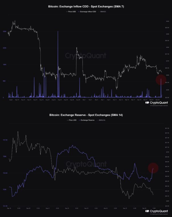 Bitcoin Exchange Inflow CDD & Exchange Reserve