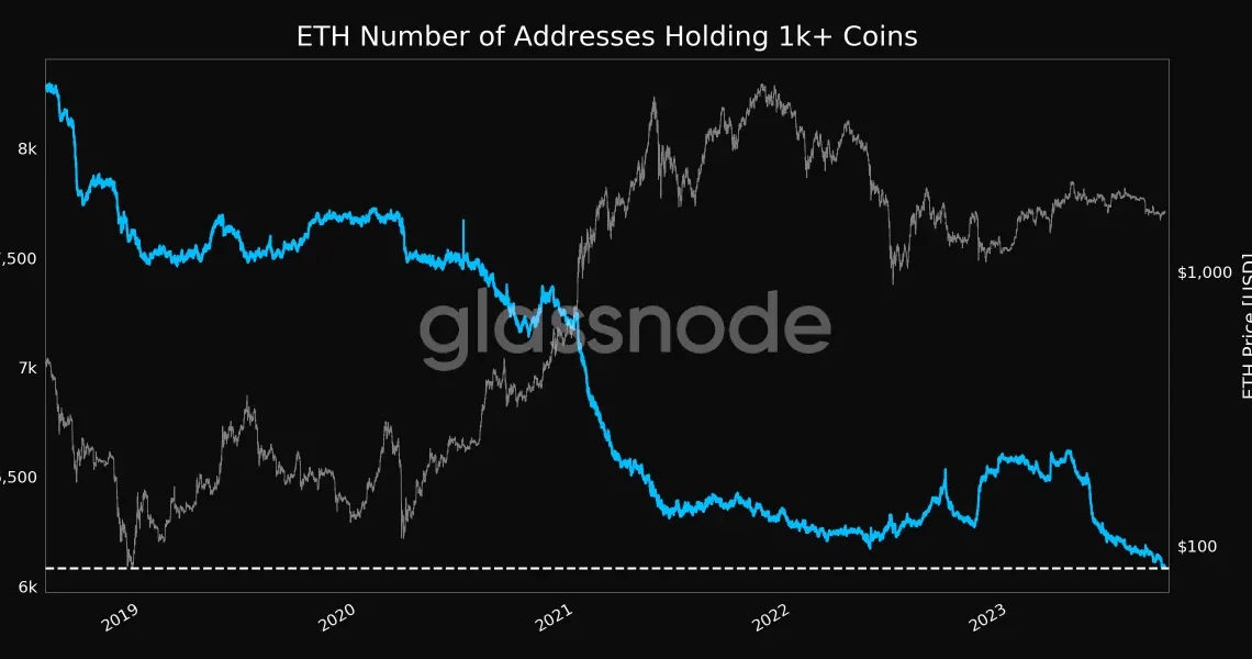 Ethereum (ETH) number of addresses holding more than 1000 ether.