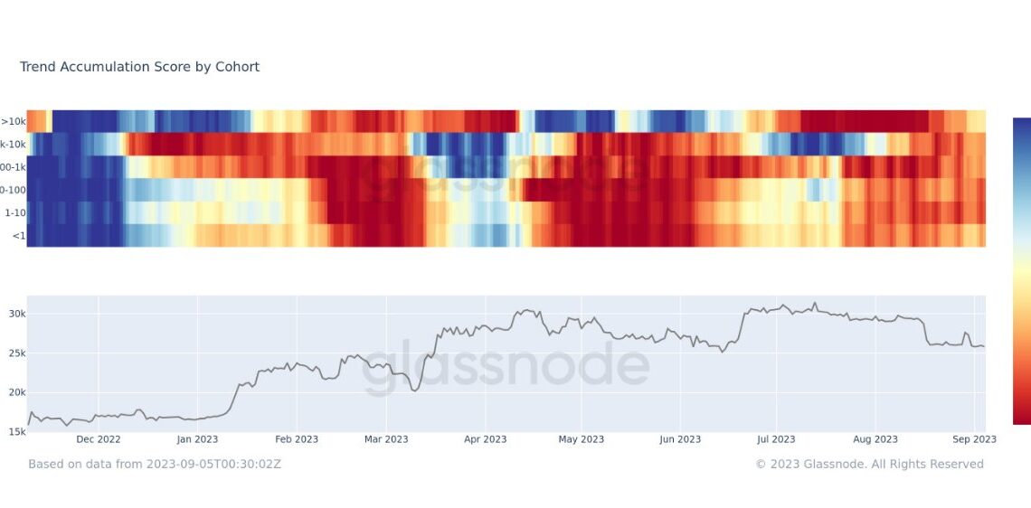 Bitcoin trend accumulation score by cohort