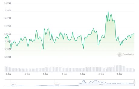 Will Correction Trend Push BNB Under $200?