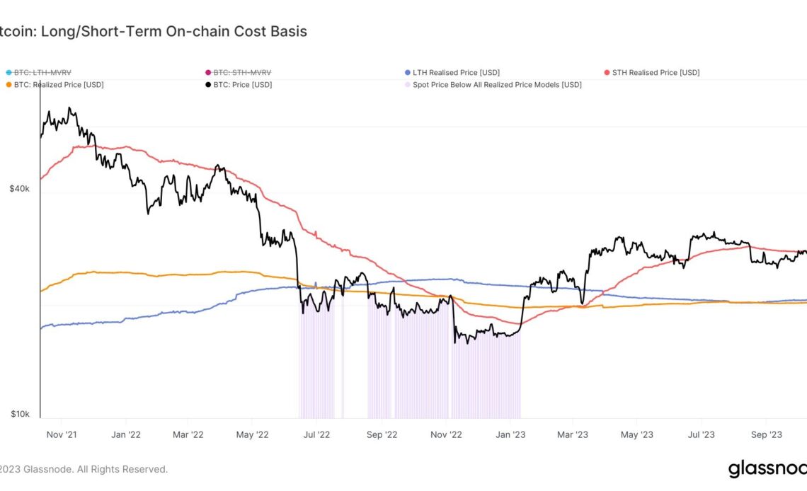 Bitcoin Short-Term Holders