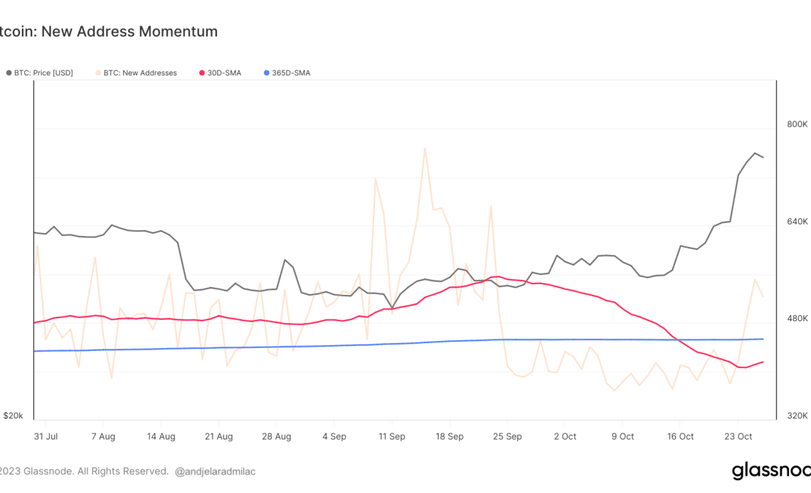 bitcoin new addresses momentum 3mo