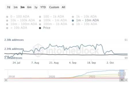 Cardano ADA whales