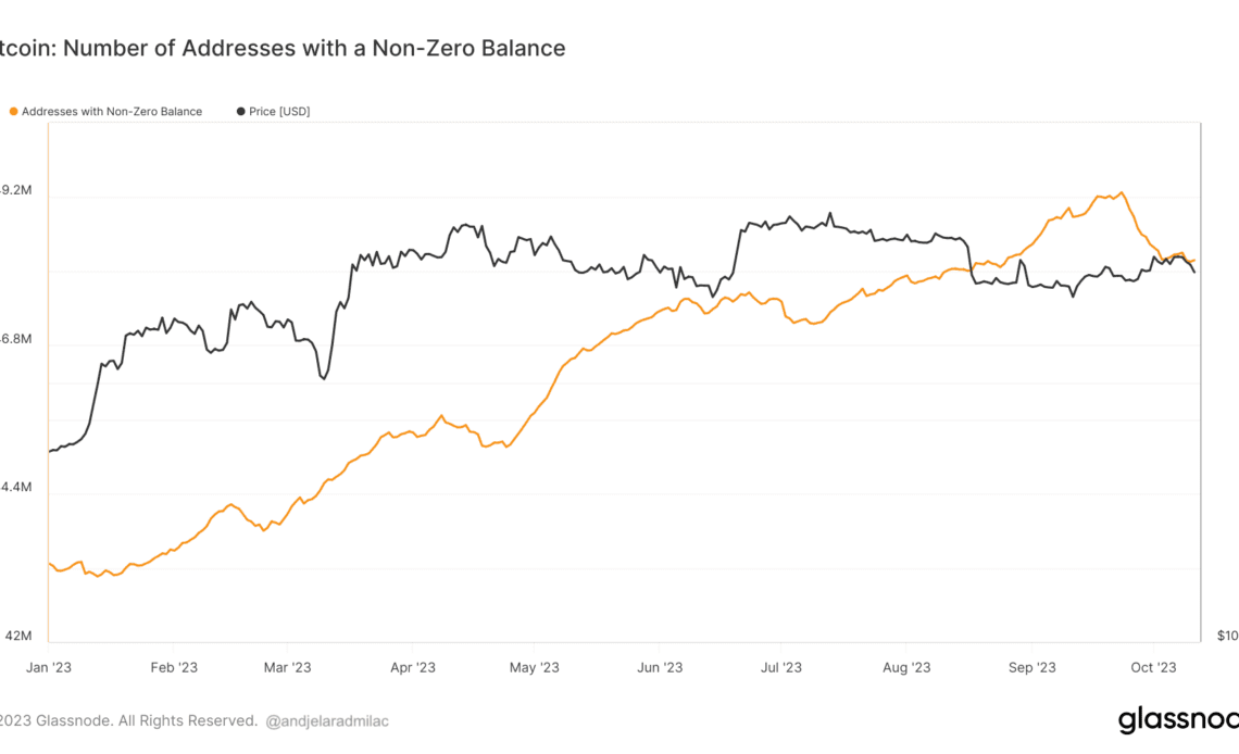 bitcoin utxo addresses with non zero balances ytd