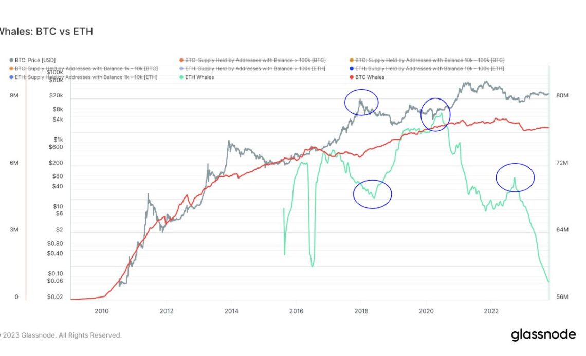 Bitcoin Vs Ethereum Whales