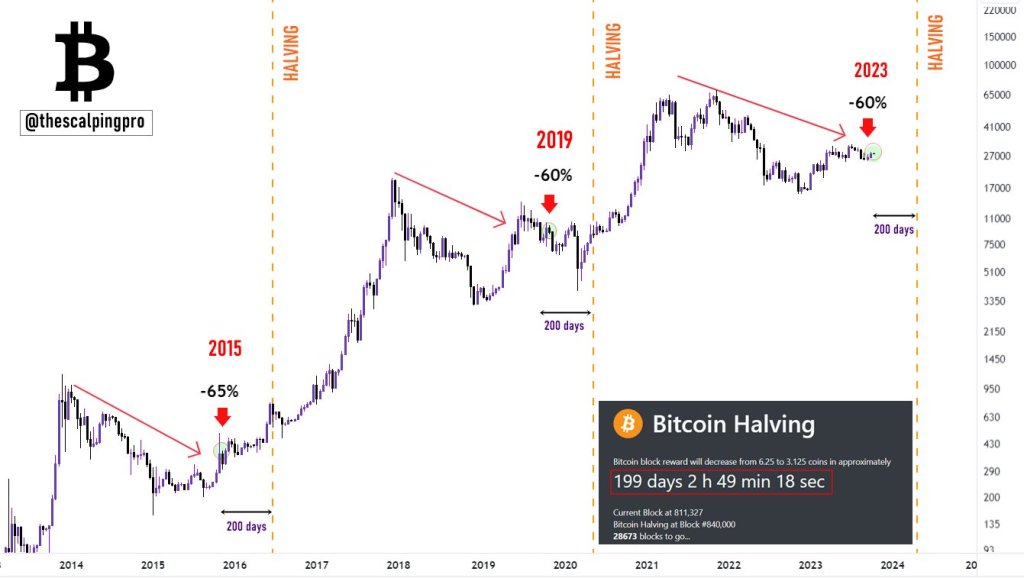 Bitcoin cycles after halving| Source:: thescalpingpro on X