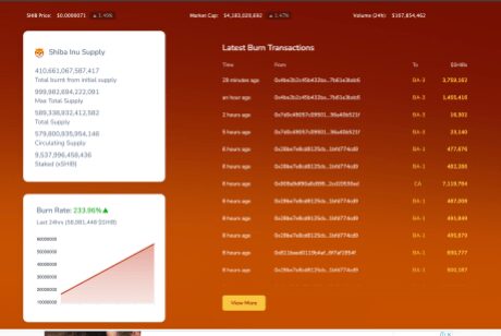 Shiba Inu SHIB burn rate