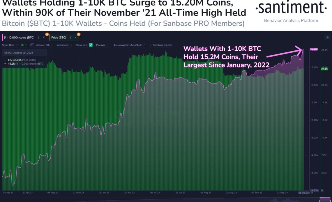 Bitcoin Large Holdings