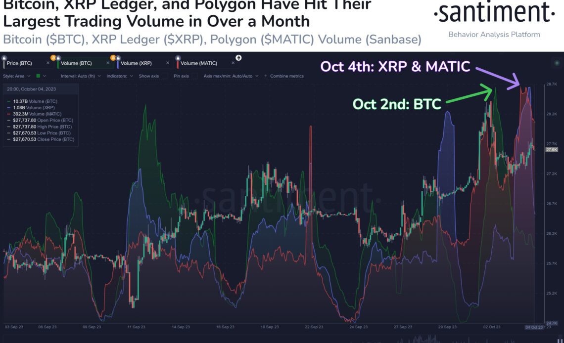 XRP & Polygon Trading Volume