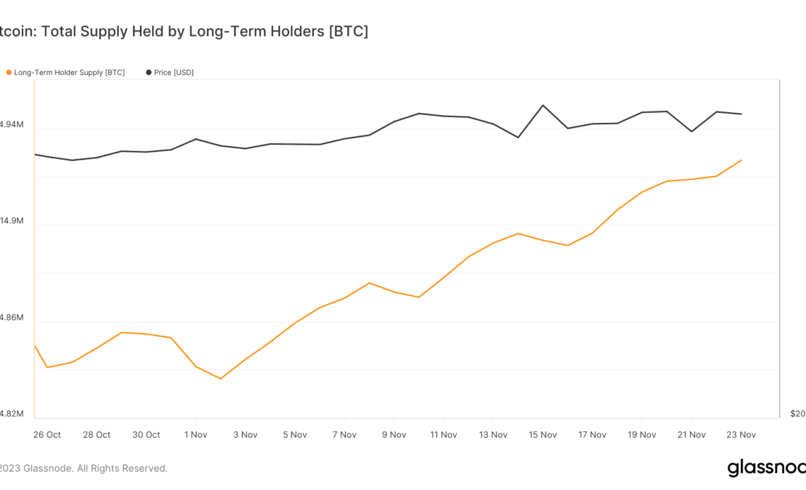 long-term holder supply 1mo