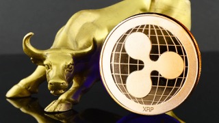 XRP price