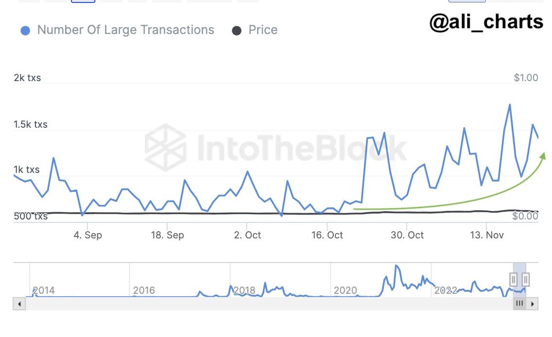 Shiba Inu Rival Dogecoin Gearing Up for a ‘Significant Price Spike’, Says Crypto Analyst – Here’s Why