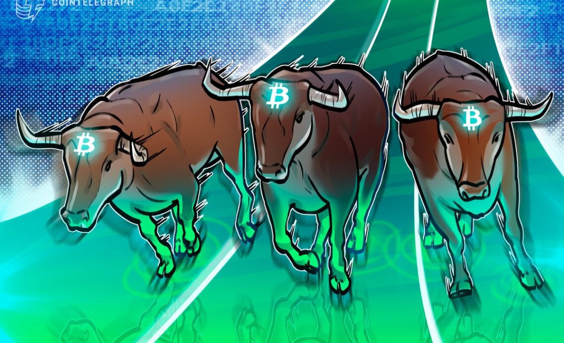 Will the next crypto bull run be dominated by L1s, L2s or something else?