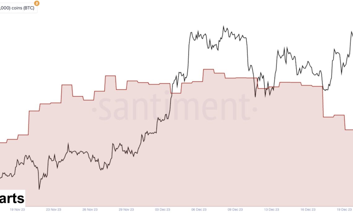 Bitcoin Whale Supply