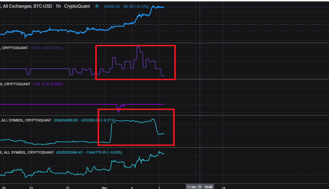 Bitcoin BitMEX Whales