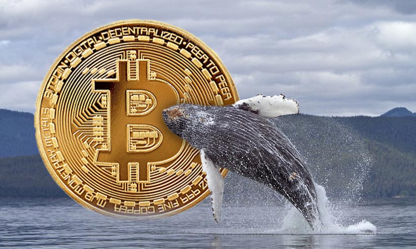 Crypto Shockwave: Binance Moves Whopping 1,784 BTC ($73M) in Unprecedented Transaction
