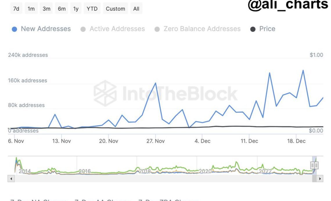 Dogecoin Adoption