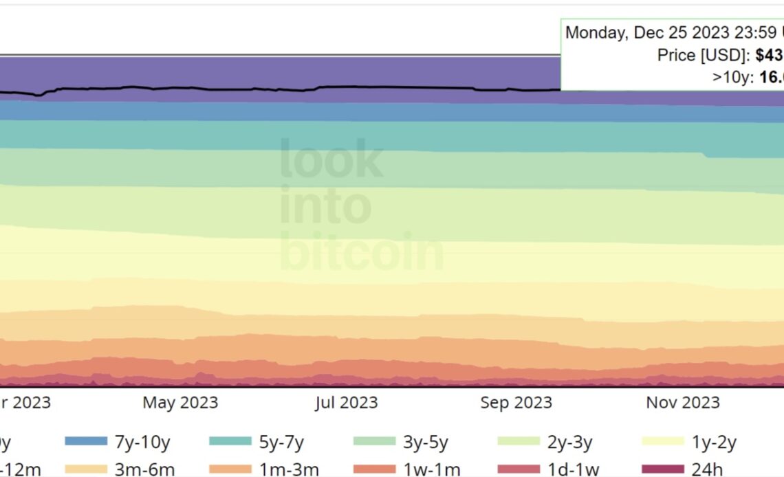 The Pulse of Bitcoin – Understanding Current Market Trends Through HODL Behavior