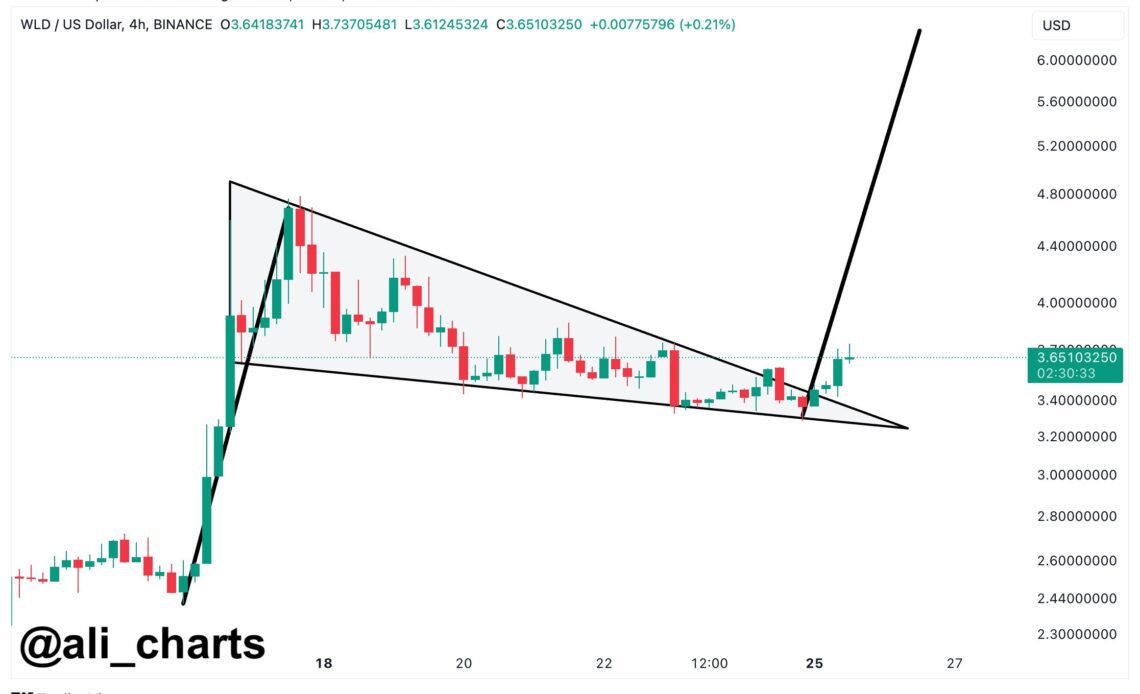 Worldcoin Bull Flag