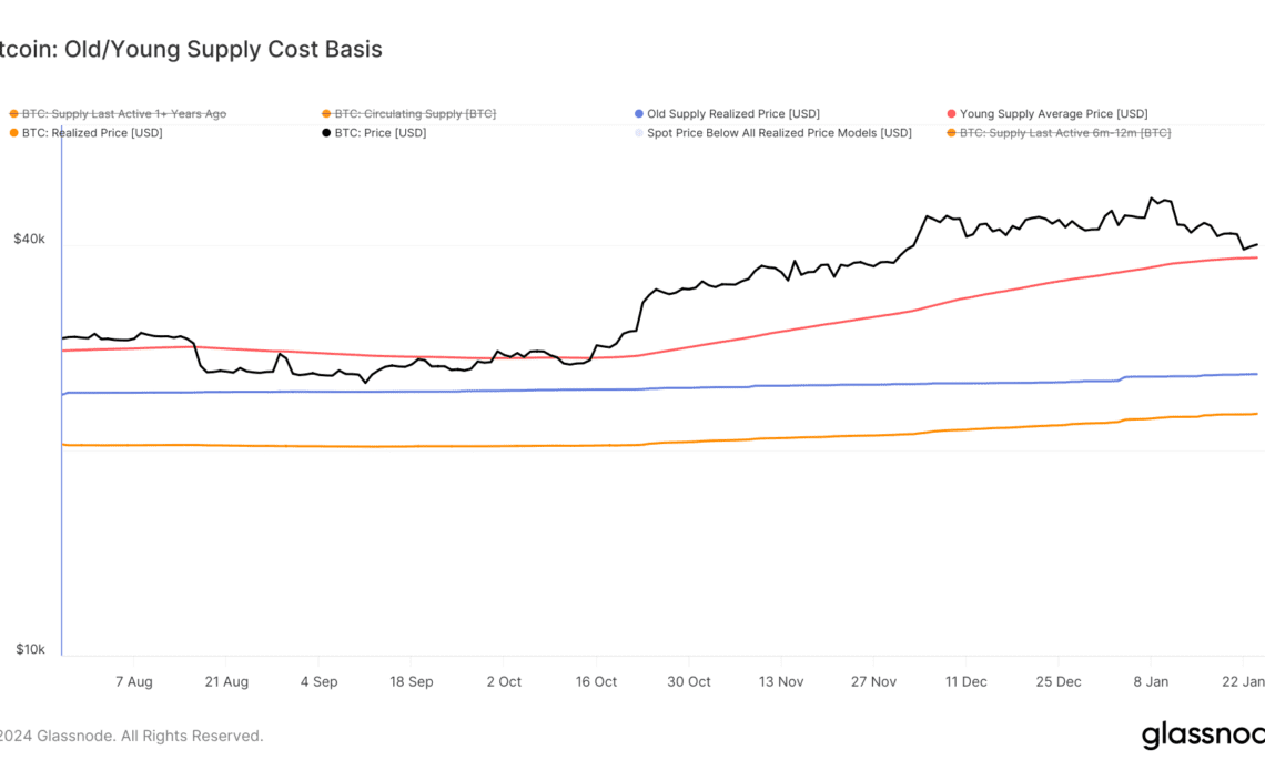 realized price bitcoin cost basis