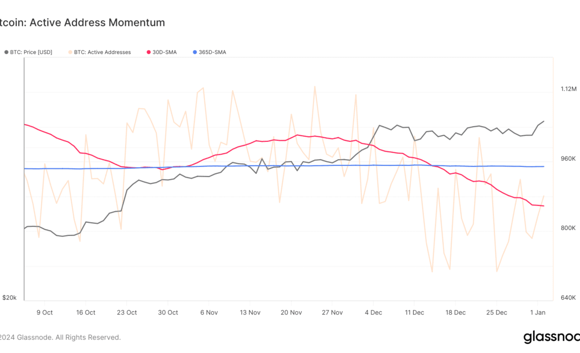 bitcoin active addresses momentum oct jan