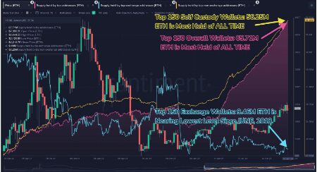 Ethereum Giga Whales On A Historic Buying Spree