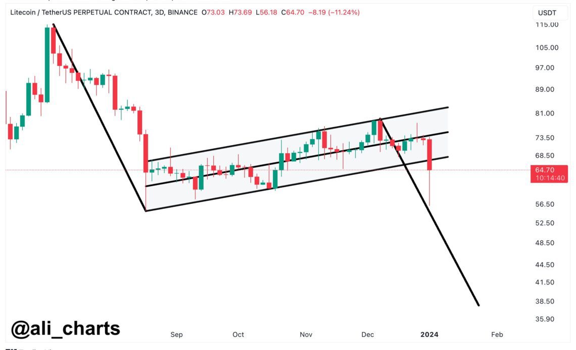 Litecoin Bear Flag