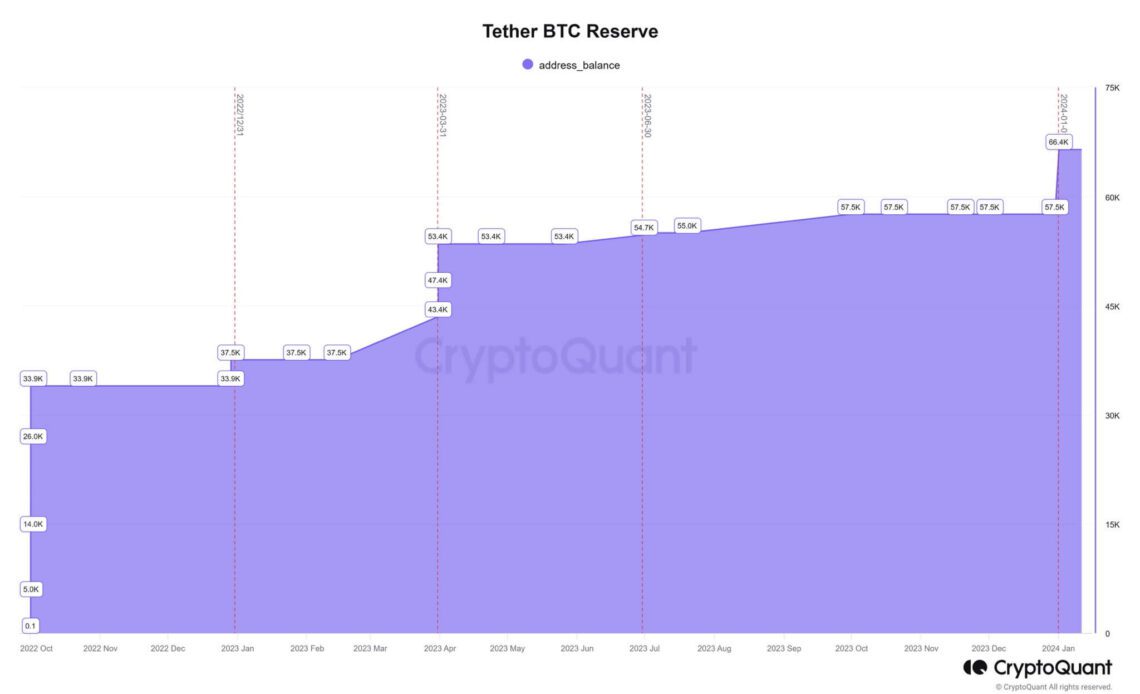 Tether Bitcoin Holding