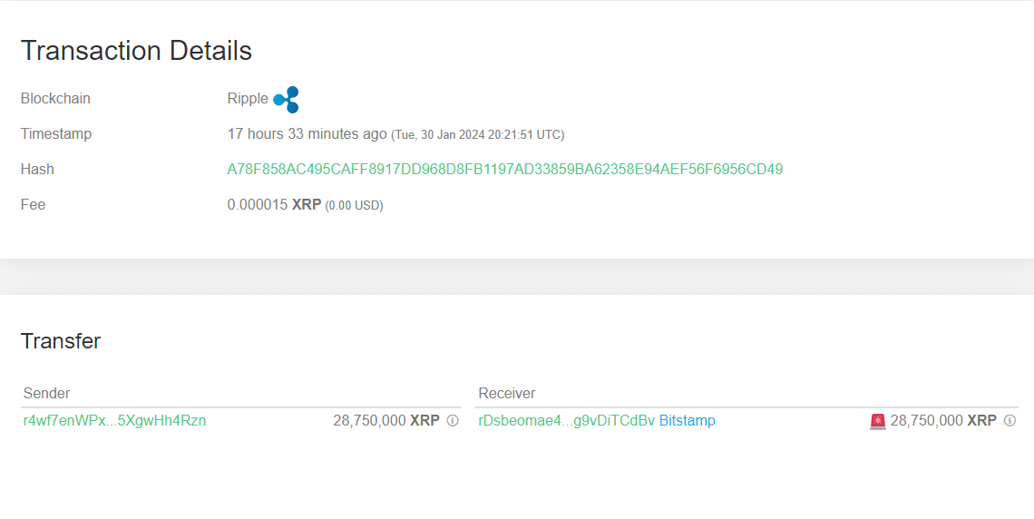 XRP Whale Transfer