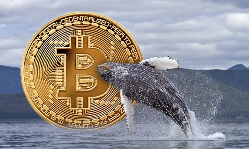 Bitcoin Whales Withdraw $1B from Coinbase Amidst Record Purchases