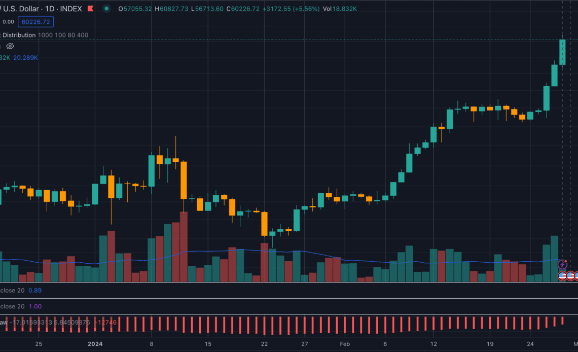 Bitcoin price (Source: TradingView)