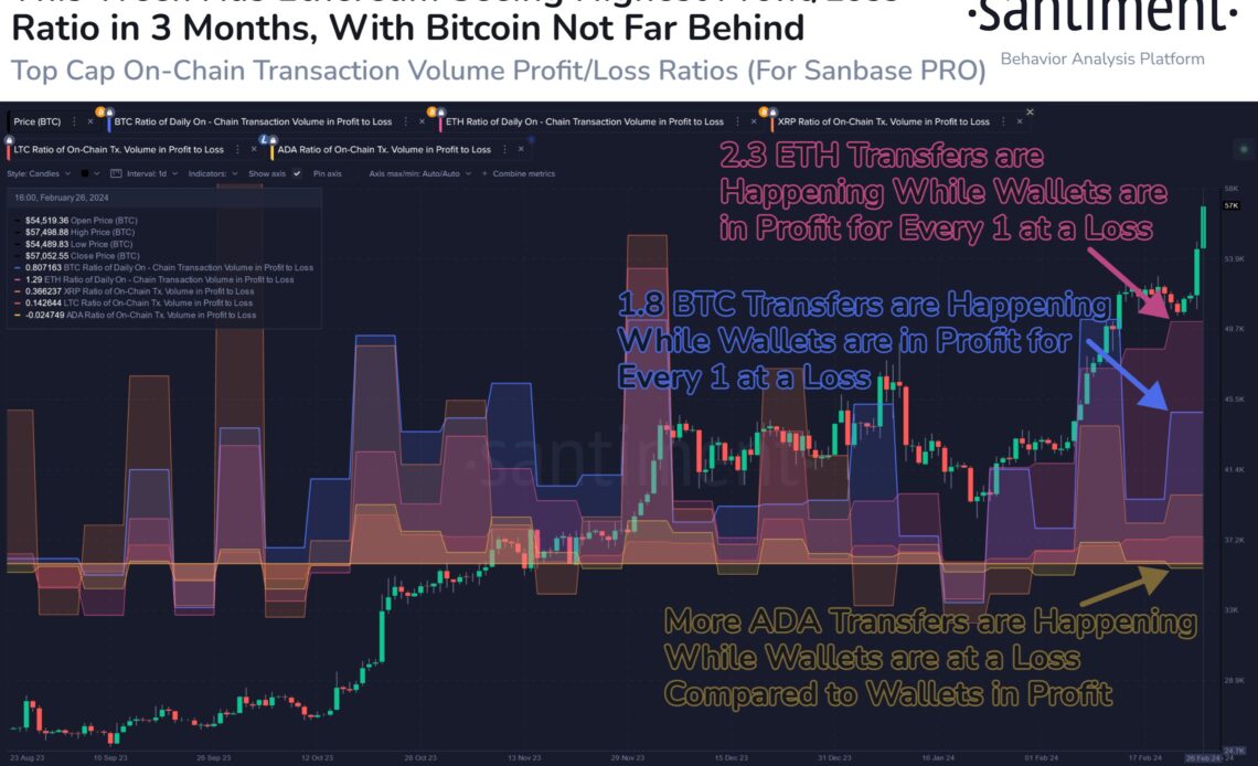 Cardano vs Bitcoin vs Ethereum