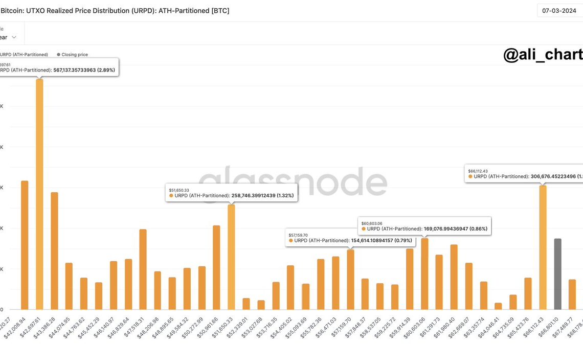 Bitcoin realized price distribution