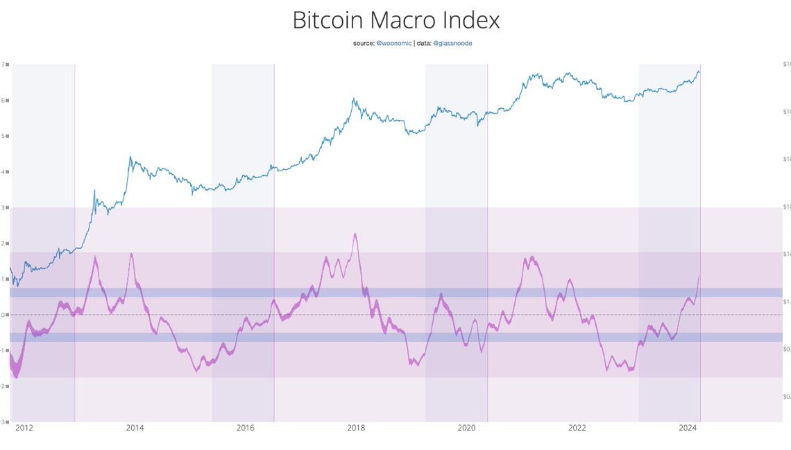 Bitcoin Macro Index