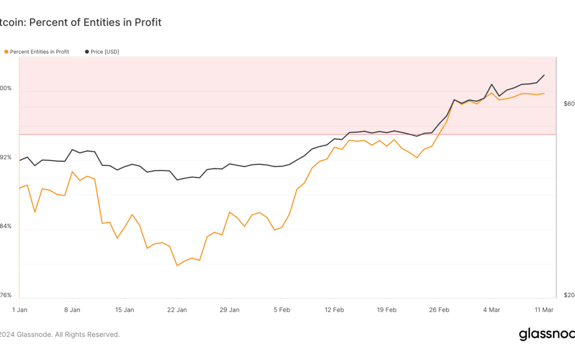 bitcoin percent entities in profit ytd