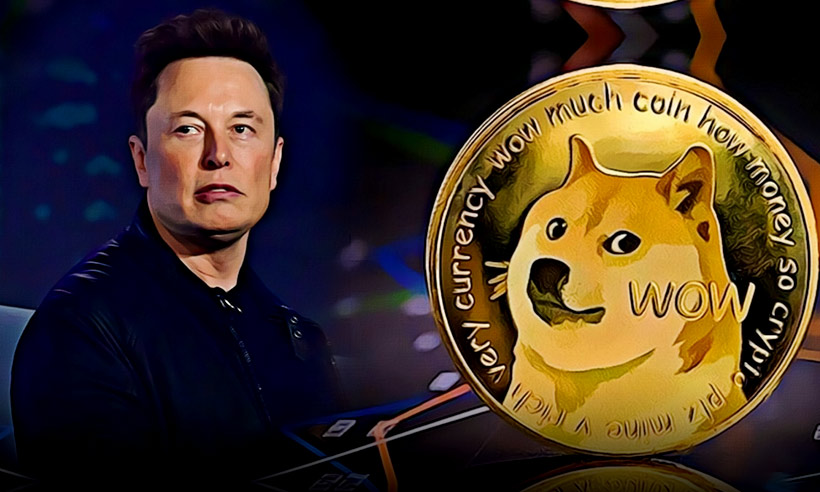 Dogecoin Elon Musk Univesrity