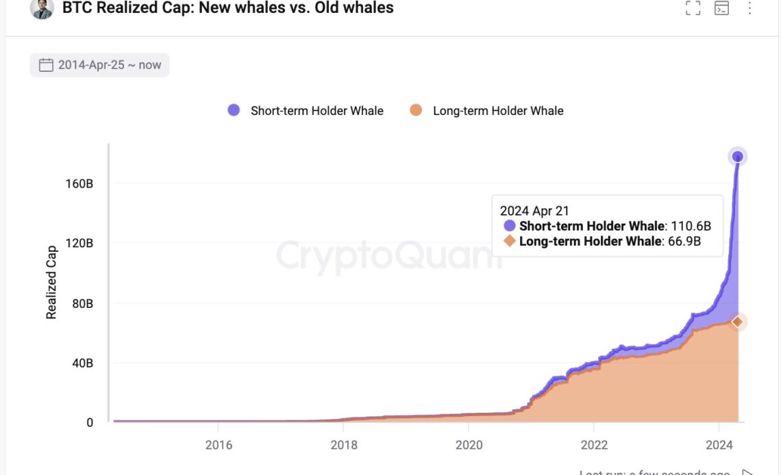 New Bitcoin Whales Have Already Nearly Double the Size of Old Large BTC Owner Holdings: CryptoQuant