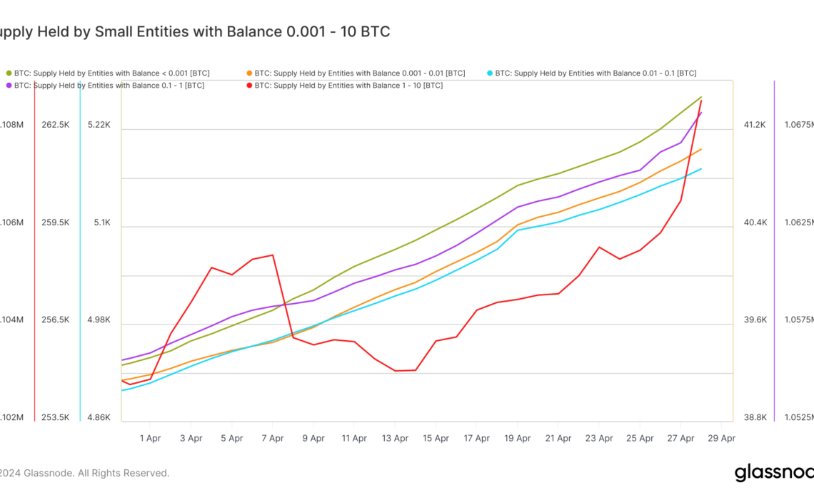 small entities bitcoin accumulating