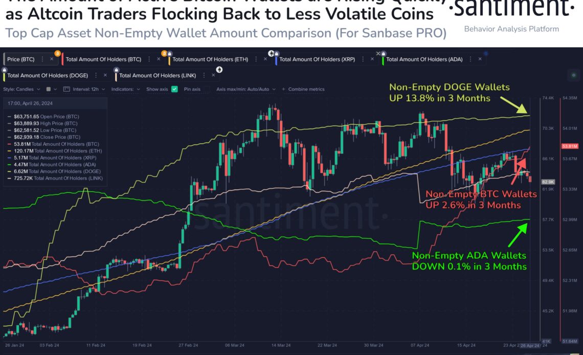 Bitcoin Total Amount of Holders Vs Dogecoin