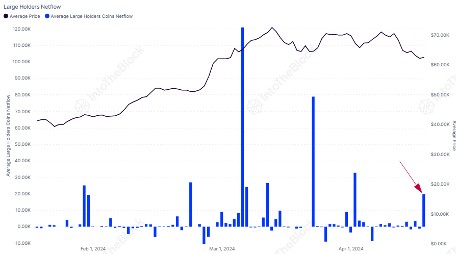 Whales Gobble Up $1,235,000,000 Worth of Bitcoin Amid BTC’s Price Dip on Thursday: IntoTheBlock