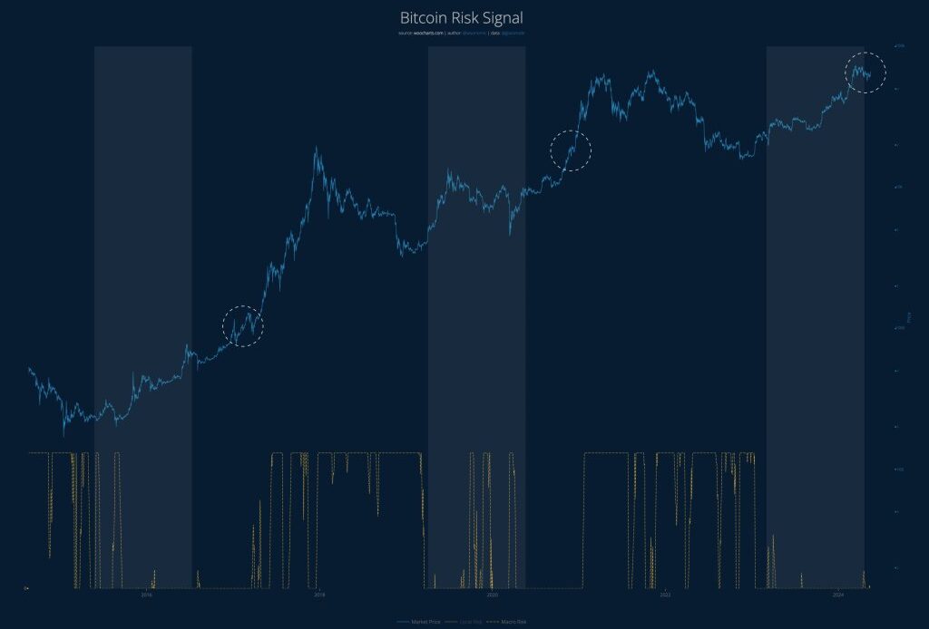 Bitcoin risk signal | Source: @woonomic on X