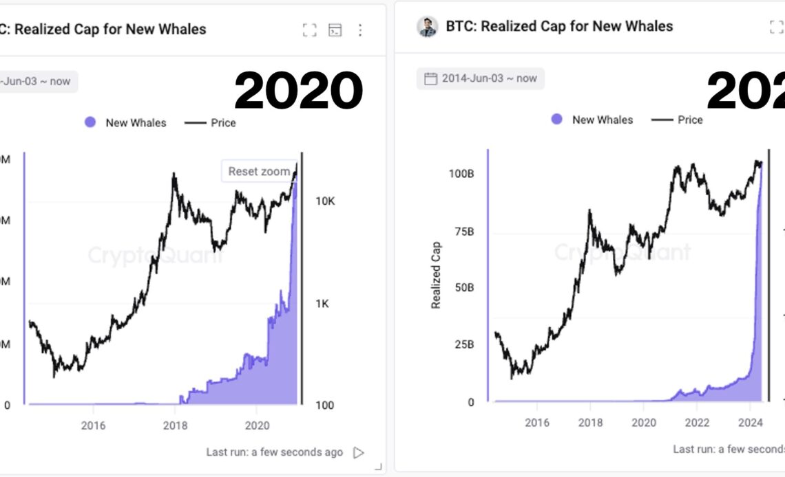 Bitcoin realized cap by whales