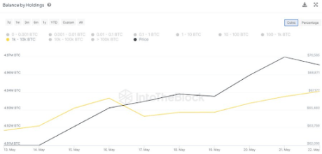 Bitcoin whales