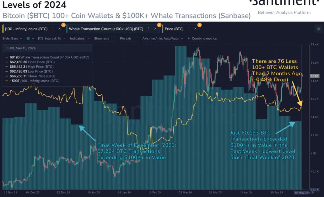 Bitcoin Whale transactions trend.