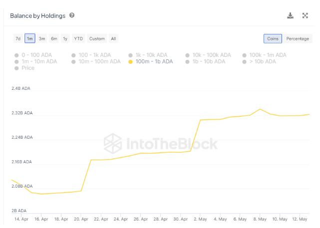 Cardano Whales Return To The Table, Increase Massive Holdings By 10%