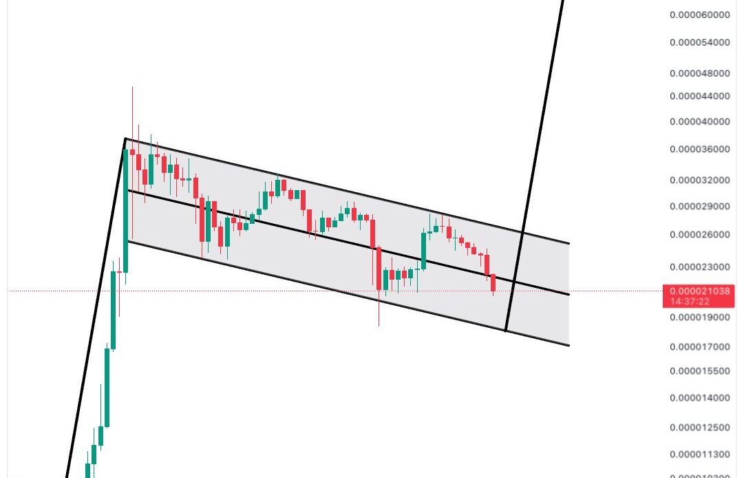 Shiba Inu Bull Flag