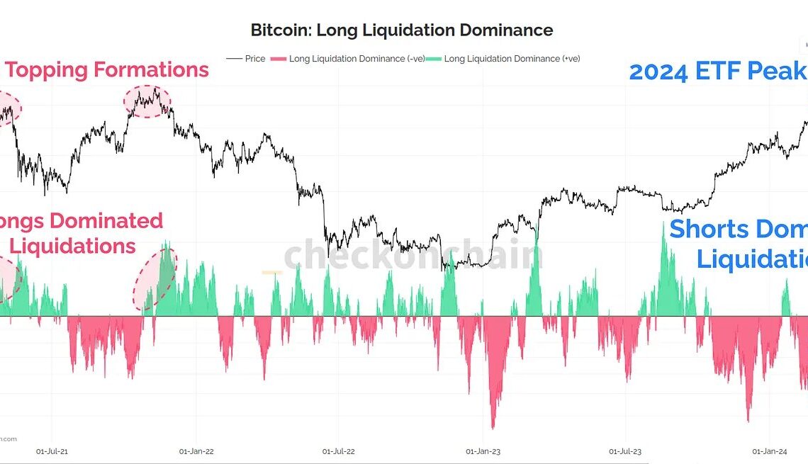 Bitcoin Long Liquidations