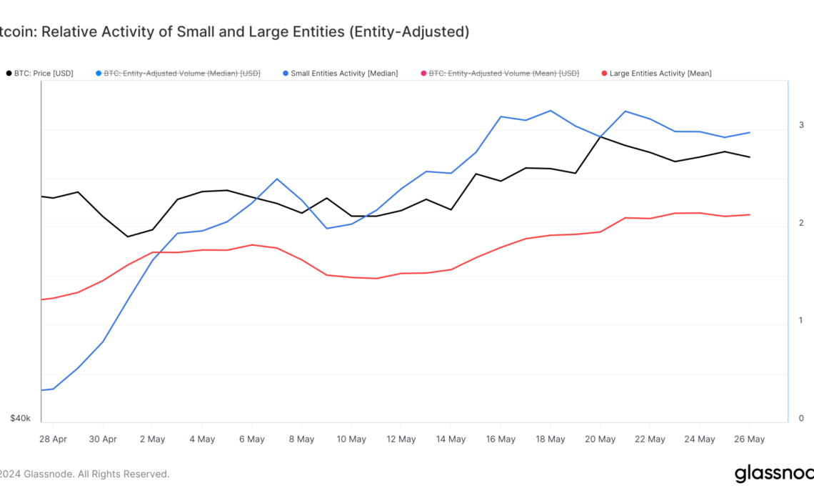 large small entities bitcoin 1mo