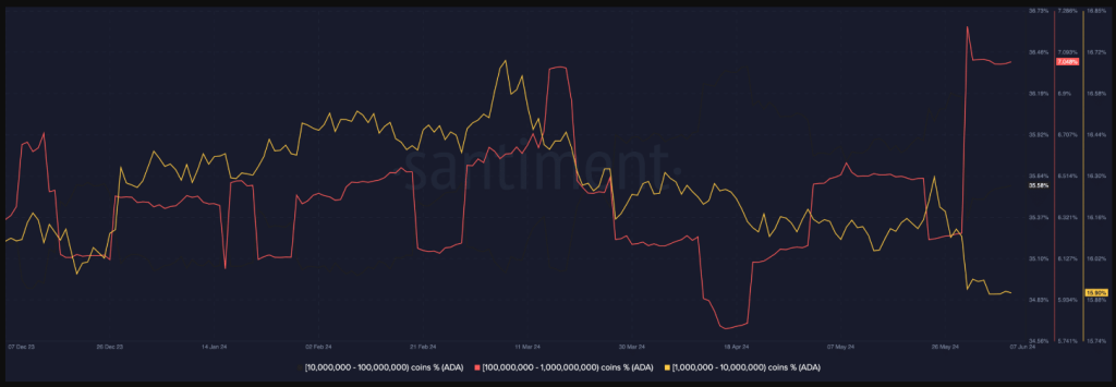 Cardano Bloodbath? Sell-Off Raises Fears Of ADA Price Drop